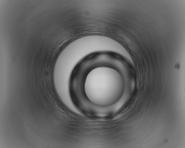 X0000091490556200708161441