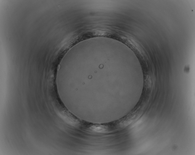 X0000091490557200708161441