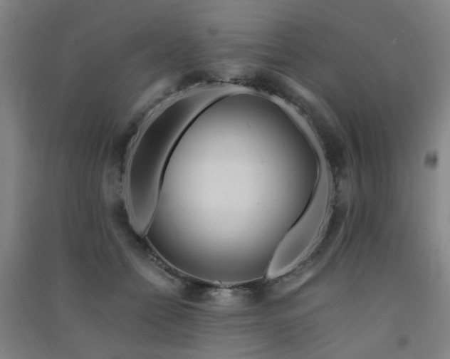 X0000091490558200708161441