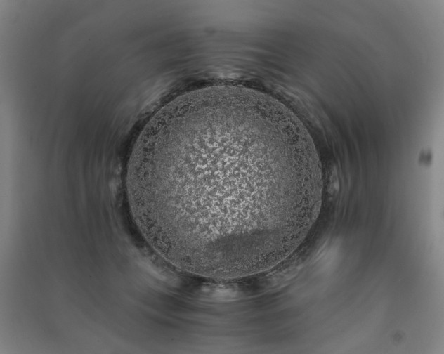 X0000091490559200708161441