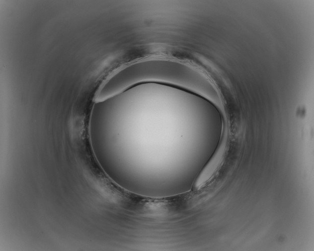 X0000091490560200708161441