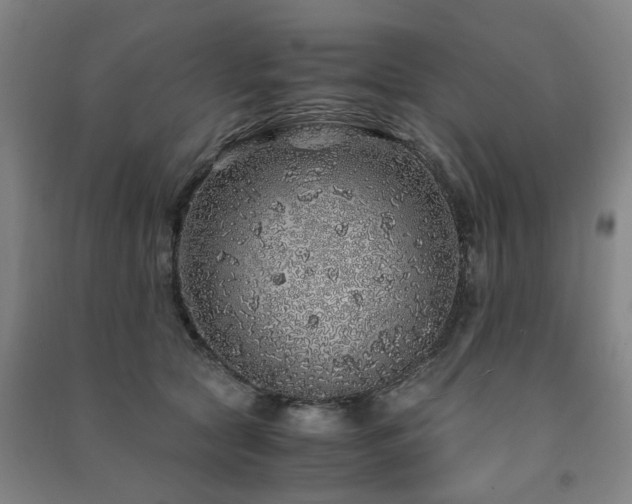 X0000091490561200708161441