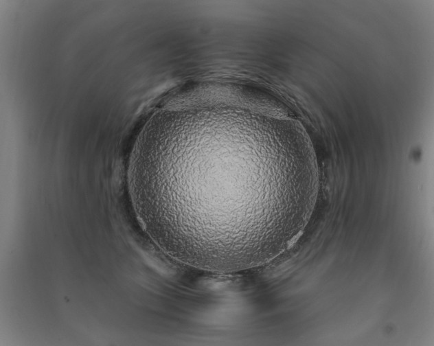 X0000091490563200708161441