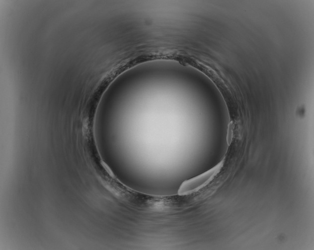 X0000091490564200708161441