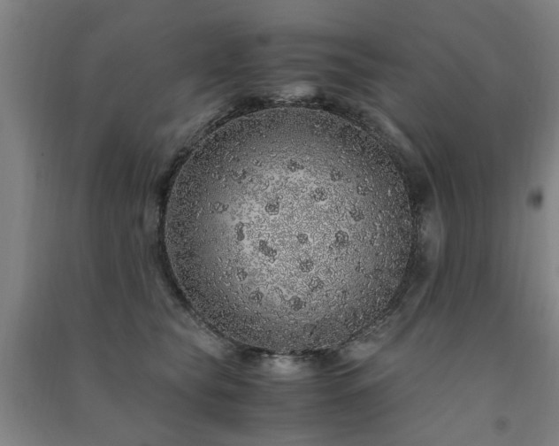 X0000091490565200708161441