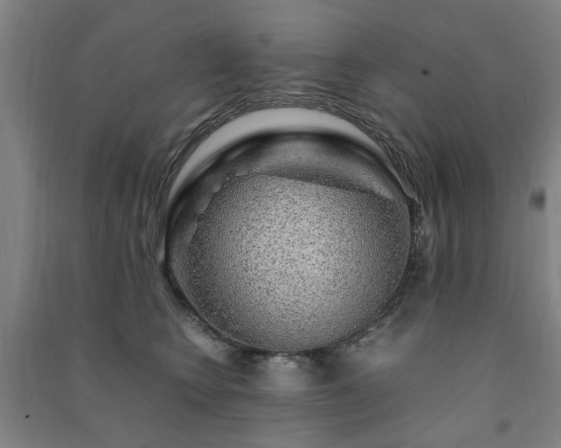 X0000091490566200708161441