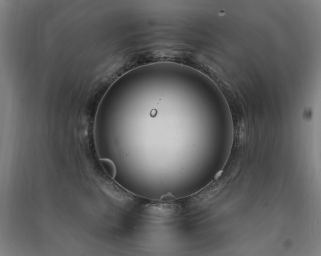 X0000091490567200708161441