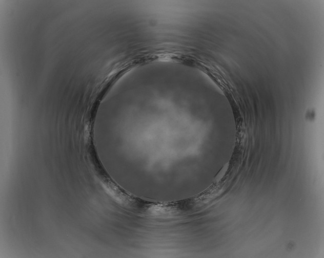 X0000091490568200708161441