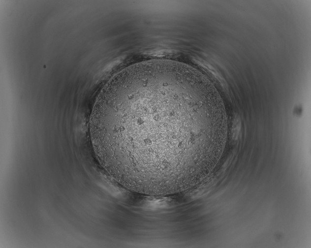 X0000091490569200708161441