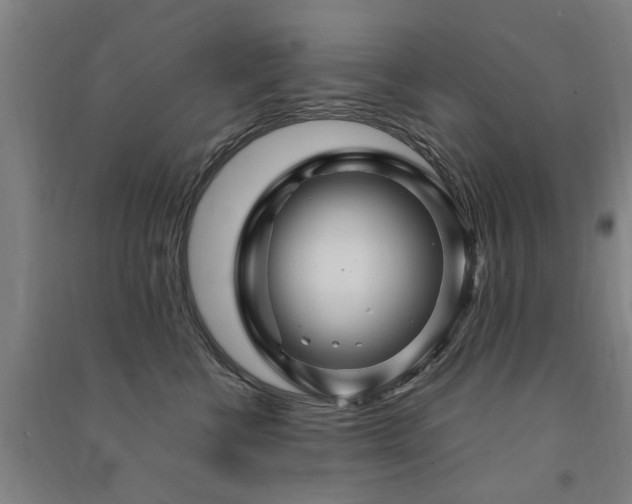 X0000091490570200708161441