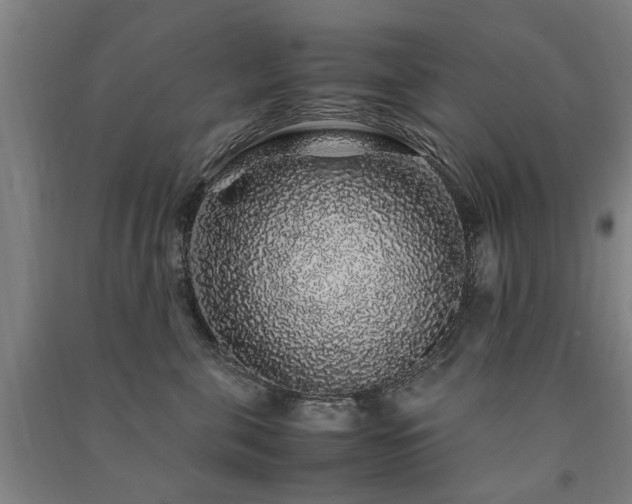 X0000091490571200708161441