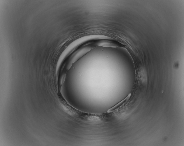 X0000091490572200708161441