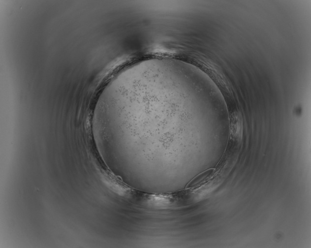 X0000091490573200708161441