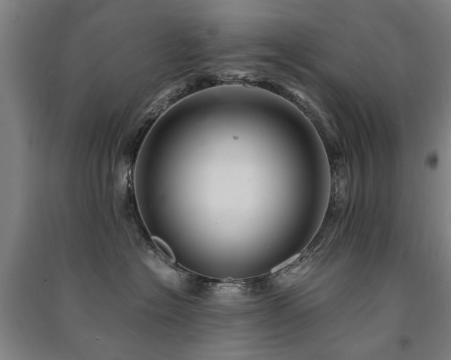 X0000091490574200708161441