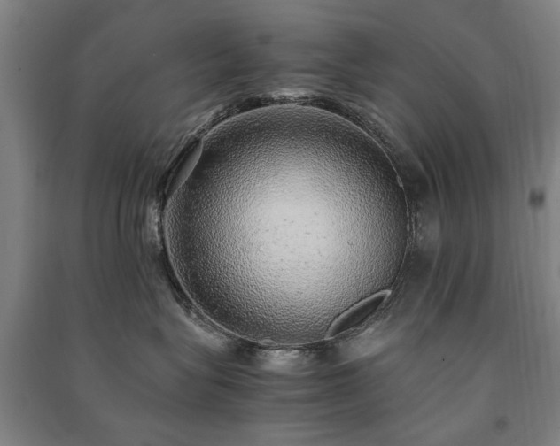 X0000091490575200708161441