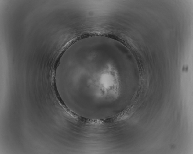 X0000091490576200708161441