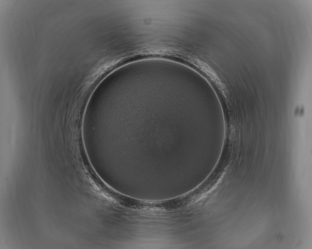 X0000091490577200708161440