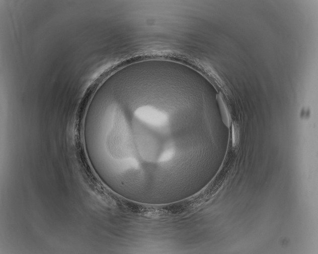 X0000091490579200708161440