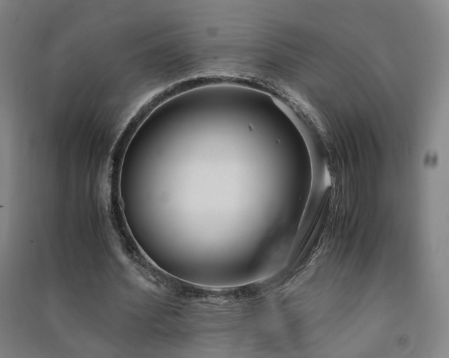 X0000091490580200708161440
