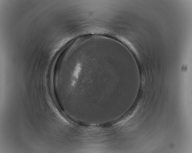 X0000091490581200708161440