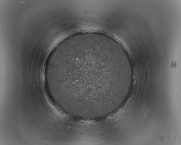 X0000091490582200708161440