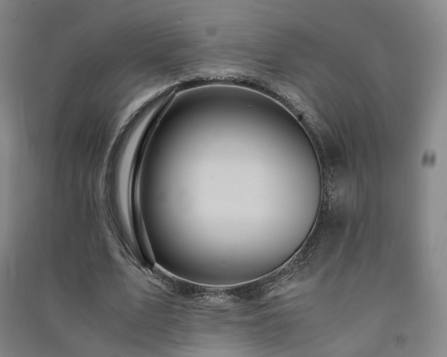 X0000091490583200708161440