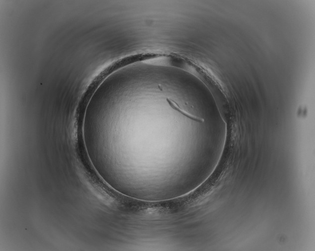 X0000091490584200708161440