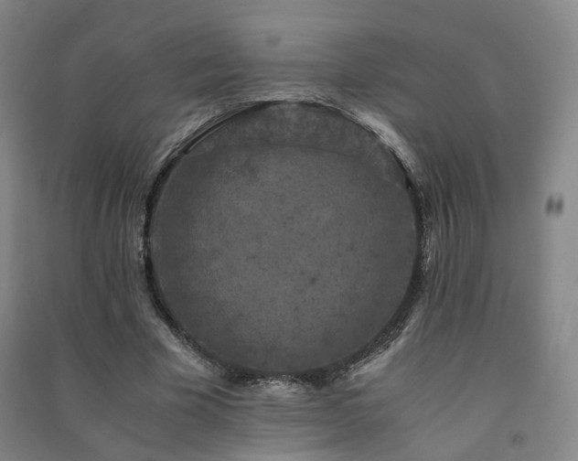 X0000091490585200708161440