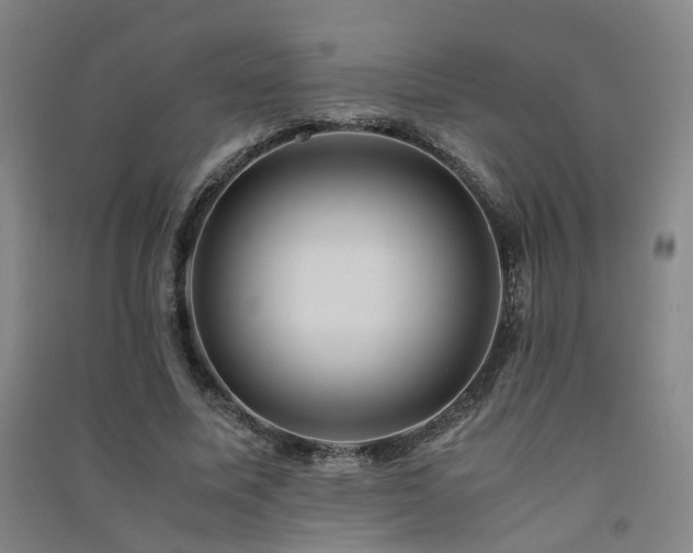 X0000091490587200708161440