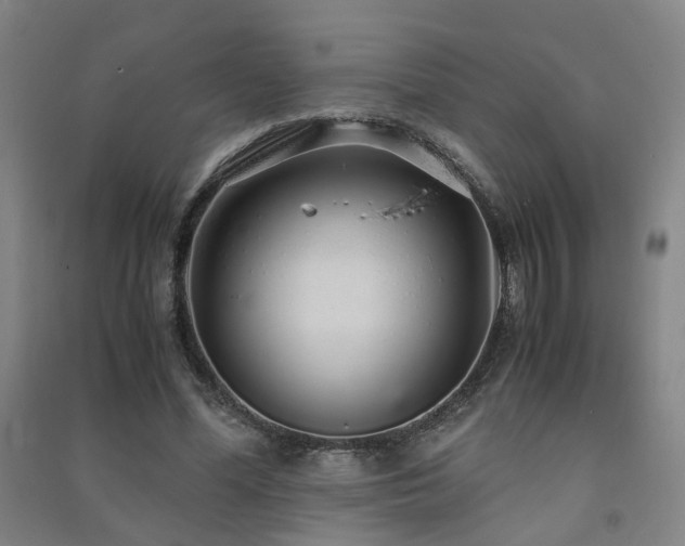 X0000091490588200708161440