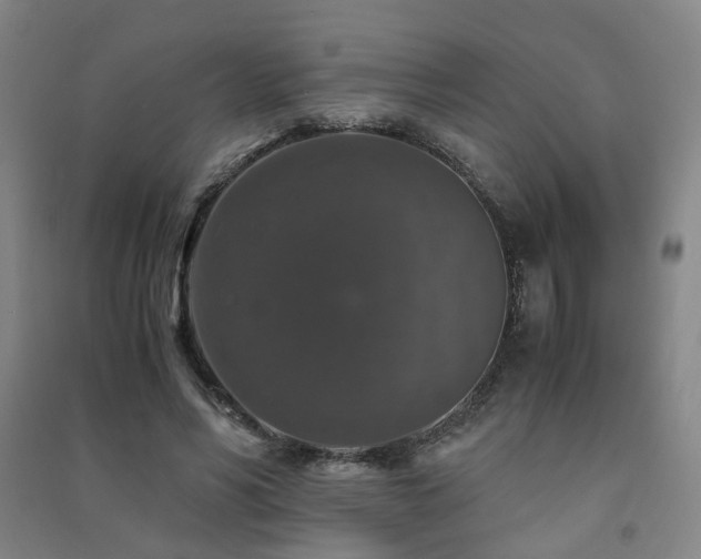 X0000091490590200708161440