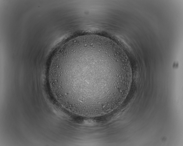 X0000091490591200708161440