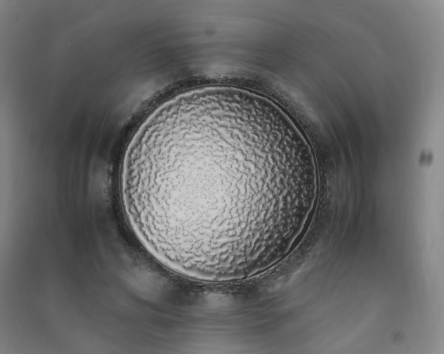 X0000091490592200708161440