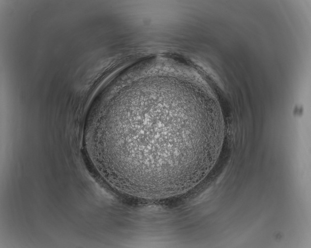 X0000091490593200708161440