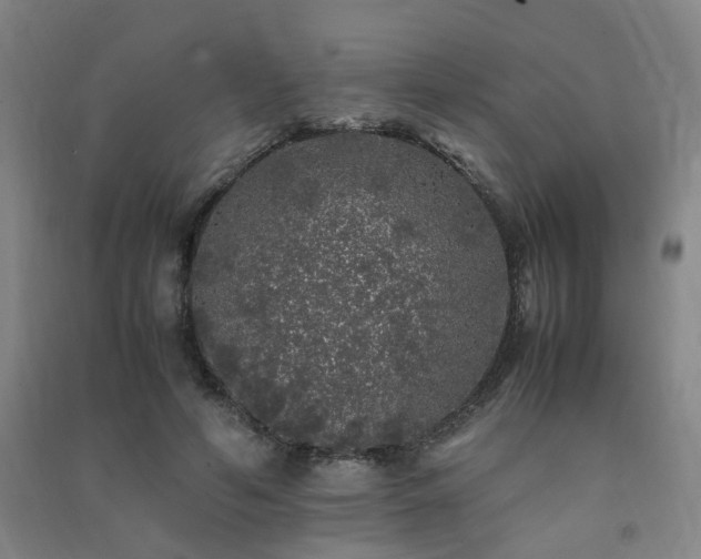 X0000091490594200708161440