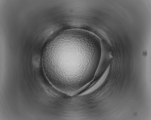 X0000091490596200708161440