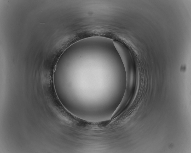 X0000091490597200708161440