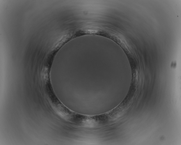 X0000091490598200708161440