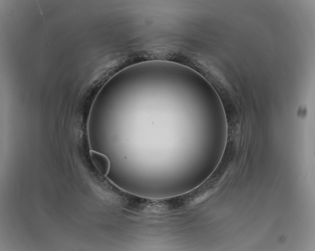 X0000091490599200708161440
