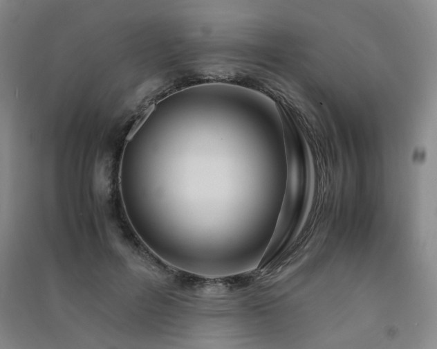 X0000091490600200708161440