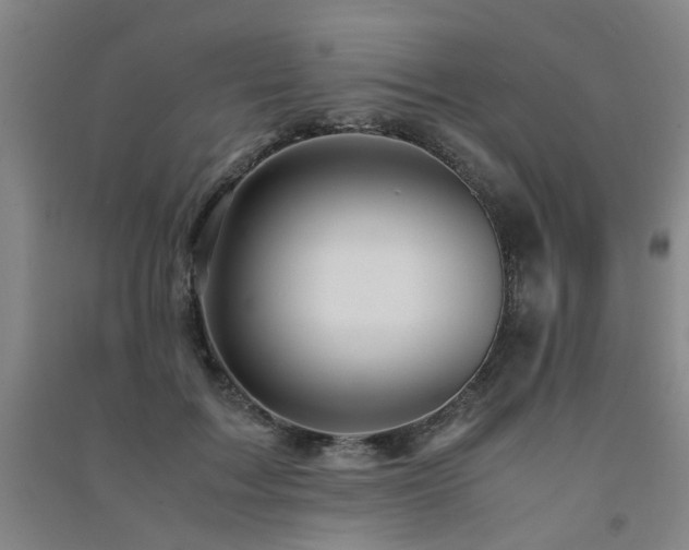 X0000091490603200708161440
