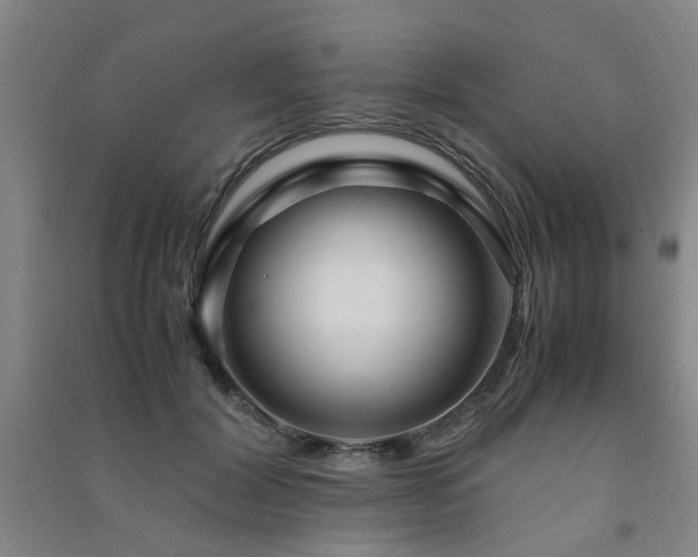 X0000091490604200708161440