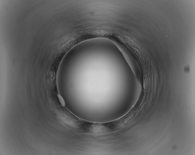 X0000091490605200708161440