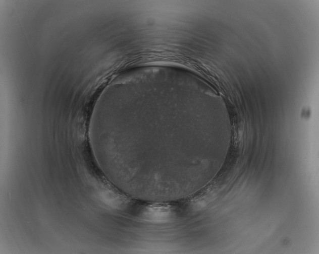 X0000091490606200708161440