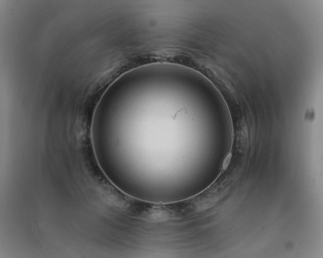 X0000091490608200708161440