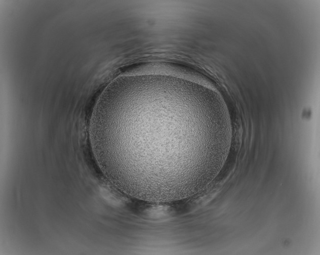 X0000091490609200708161440