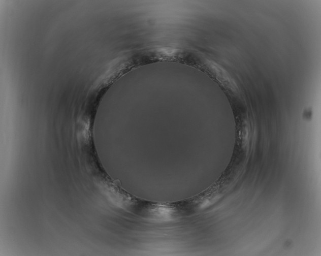 X0000091490610200708161440