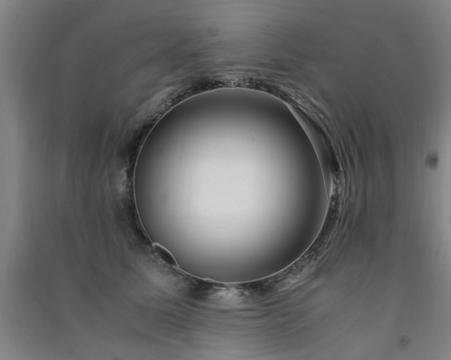 X0000091490611200708161440