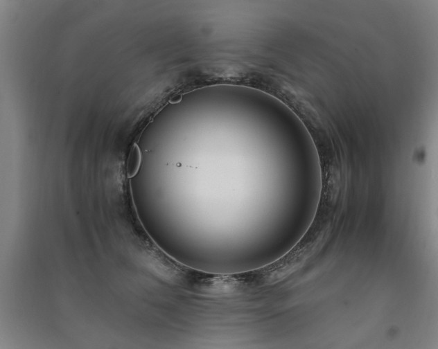 X0000091490612200708161440