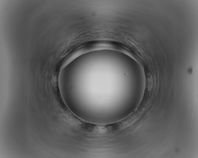 X0000091490613200708161440
